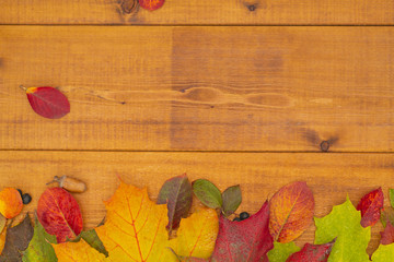 Autumn banner with yellow leaves on wooden textured backdrop. Fall background for thanksgiving day