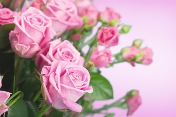 Flower.