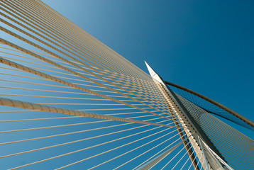 Suspension bridge