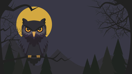 Halloween background with owl cartoon character.Owl vector illustration.