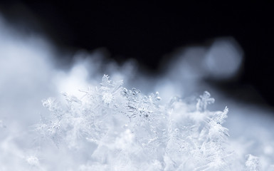 snowflake, little snowflake on the snow