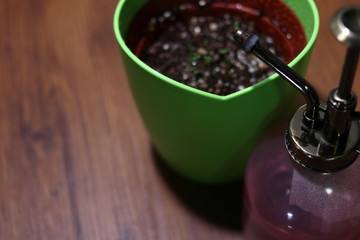 水やり用の霧吹きと鉢植え	