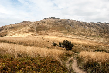 Obraz premium Przelecz Goprowska with Krzemien hill on the background in autumn Bieszczady mountains in Poland