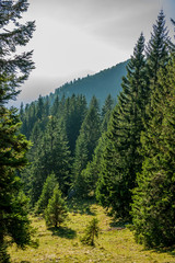 Obraz premium An autumn day in the mountains.