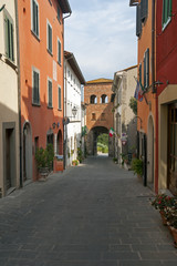 Fototapeta na wymiar Tuscany, Montecarlo of Lucca.