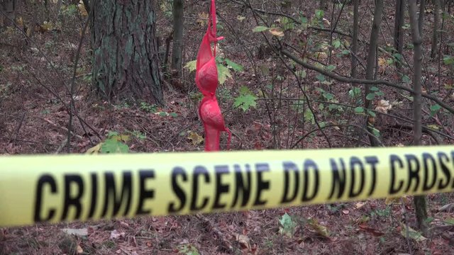 A sex offender (sexual offender, sex abuser, or sexual abuser) is a person who has committed a sex crime. 