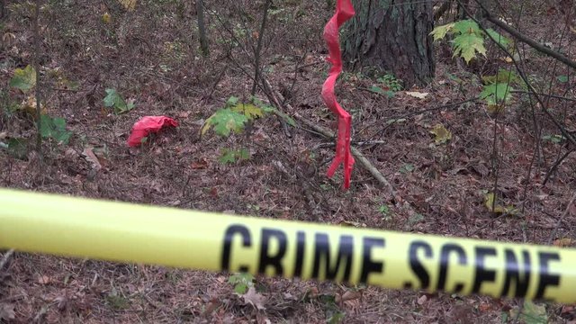 A sex offender (sexual offender, sex abuser, or sexual abuser) is a person who has committed a sex crime. 