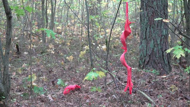 A sex offender (sexual offender, sex abuser, or sexual abuser) is a person who has committed a sex crime. 