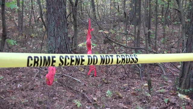 A sex offender (sexual offender, sex abuser, or sexual abuser) is a person who has committed a sex crime. 