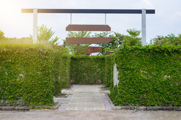 Garden Decoration is a maze with Green leaves wall fence with concrete