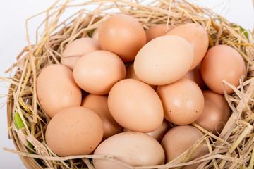 Hen or chicken eggs basket on the hey