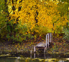 wooden walkways going into the water on the background of autumn trees