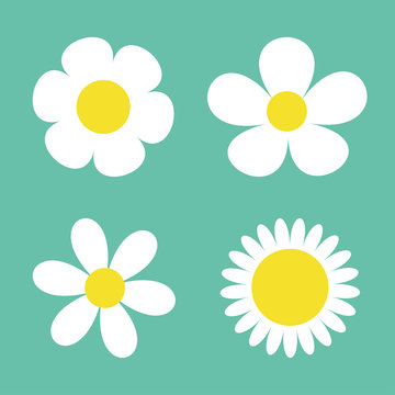 Camomile set. Four white daisy chamomile icon. Cute round flower plant collection. Love card symbol. Growing concept. Flat design. Green background. Isolated.