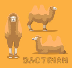 Camel Bactrian Cartoon Vector Illustration