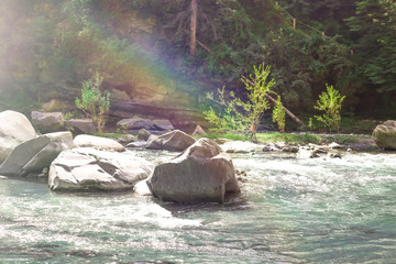 Fototapeta premium Mountain river with rocks in beautiful forest