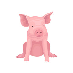 Cute little pig sitting isolated on white background. Farm animal with pink skin, flat nose and big ears. Vector design