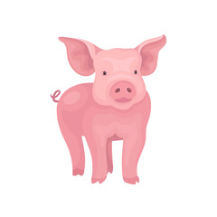 Little piglet standing isolated on white background. Farm pig with pink skin, flat snout, swirling tail and big ears. Vector design