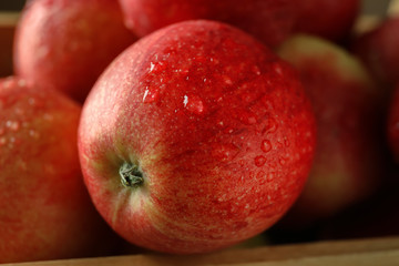 Fototapeta na wymiar Ripe juicy apples with water drops, closeup