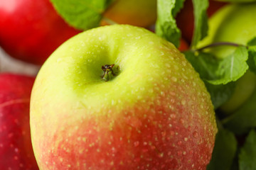Ripe fresh apple, closeup