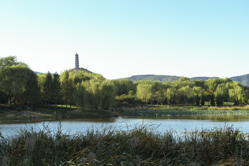 Obraz premium old tower on the river
