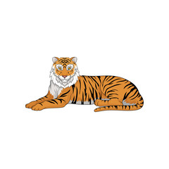 Lying Bengal tiger isolated on white background. Large wild cat. Animal with orange coat and black stripes. Vector illustration