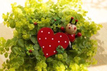 Glückskäfer mit rotem Herz und Kleeblättern auf Hintergrund aus Pflanzen