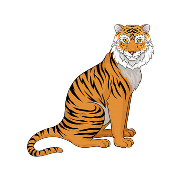Powerful tiger sitting isolated on white background, side view. Wild animal with orange coat and black stripes. Vector design