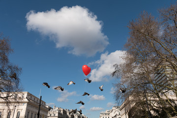 red heart balloon is floating away into blue cloudy sky - pigeons flying around 