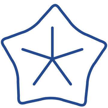 Sternfrucht, Karambole, Karambola Vector Icon Illustration