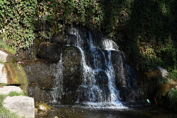 Mini waterfall in the park