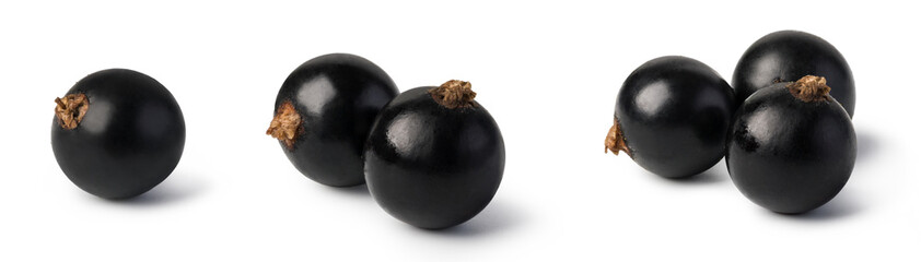 Black currant