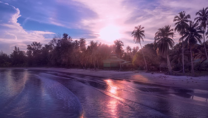 sunset in the forest