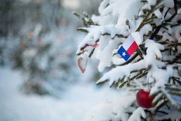 Texas state flag. Christmas background outdoor. Christmas tree covered with snow and decorations and Texas flag.  New Year / Christmas holiday greeting card. - 226976597