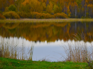 reflection of autumn forest in water
