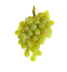 Fresh ripe juicy grapes on white background