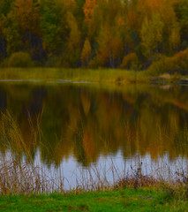 reflection of autumn forest in water
