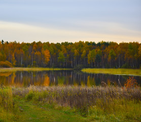 reflection of autumn forest in water
