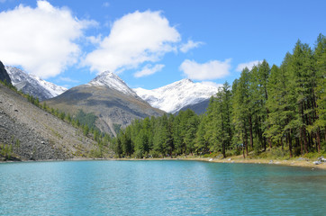 Russia, Mountain Altai. The shore of Big Shavlinskoye lake in august