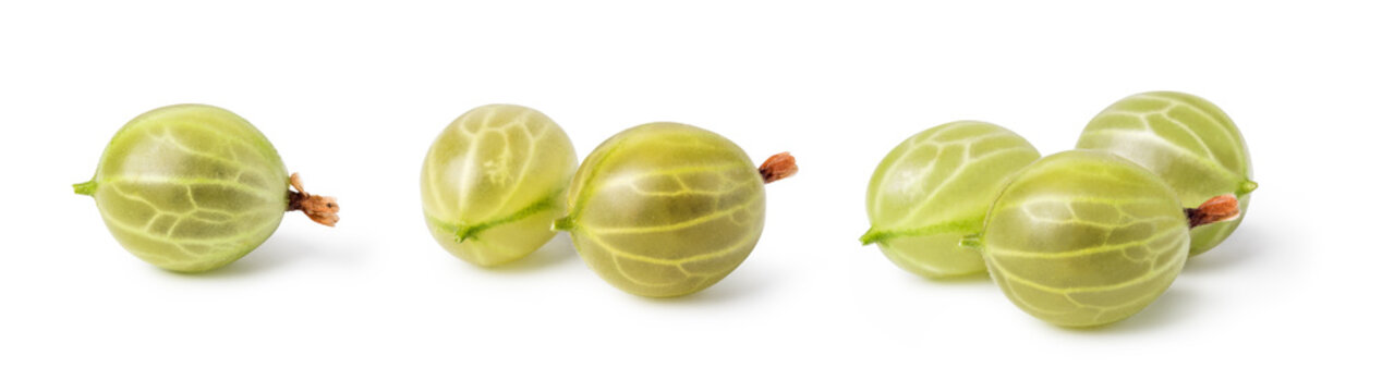 gooseberry