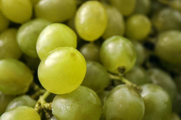 Fresh ripe juicy grapes, closeup