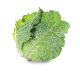 Fresh savoy cabbage on white background