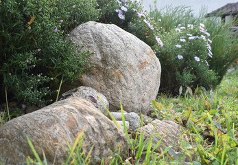 Fototapeta na wymiar The composition of stones.