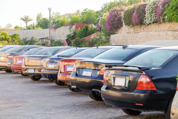 Fototapeta premium Row of parked cars on city street