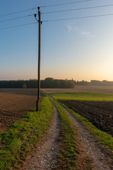 Fototapeta na wymiar Landschaft mit Strommast bei tiefstehender Sonne im Herbst