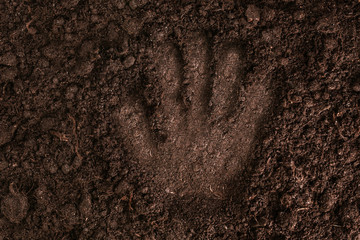 Palmprint on brown soil, top view