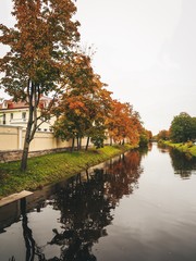 Obraz premium Autumn landscape, colorful trees grow on the river bank