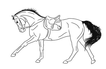 A vector sketch of a cantering horse.