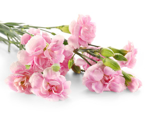 Obraz na płótnie Canvas Beautiful pink flowers on white background