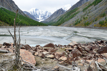 Fototapeta na wymiar Алтай. Исчезнувшее озеро Маашей в пасмурную погоду