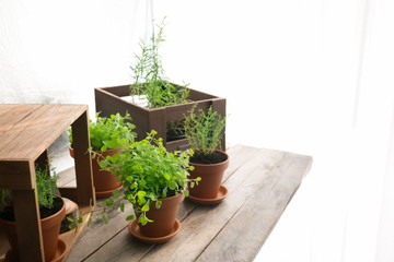 Pots with fresh aromatic herbs on wooden table